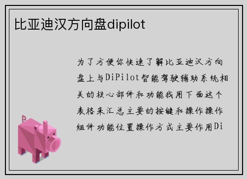 比亚迪汉方向盘dipilot